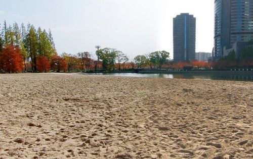 近くの大阪ふれあいの水辺まで554m（徒歩7分）