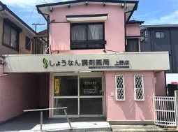 近くのしょうなん調剤薬局 上野店まで893m(徒歩12分)