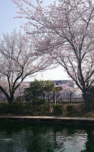 近くの浮間つり堀公園まで2,868m(徒歩36分)