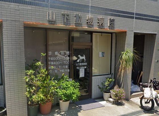 近くの山下動物病院まで265m（徒歩4分）