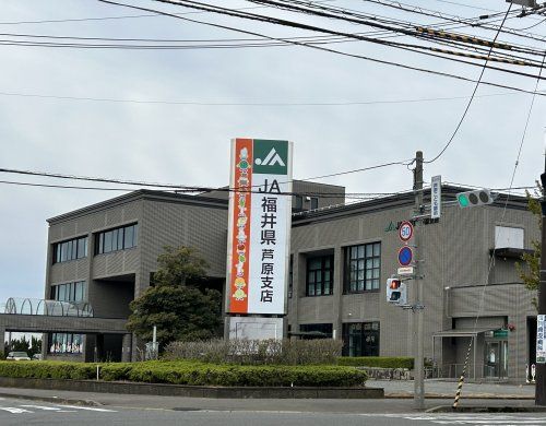近くのJA芦原支店まで815m（徒歩11分）