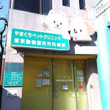近くのやまぐちペットクリニックまで198m(徒歩3分)