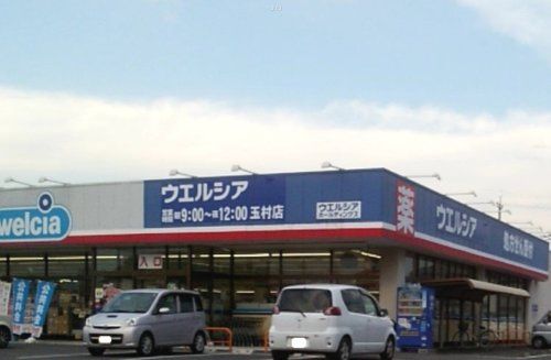 近くのウエルシア玉村店まで3,003m（徒歩38分）
