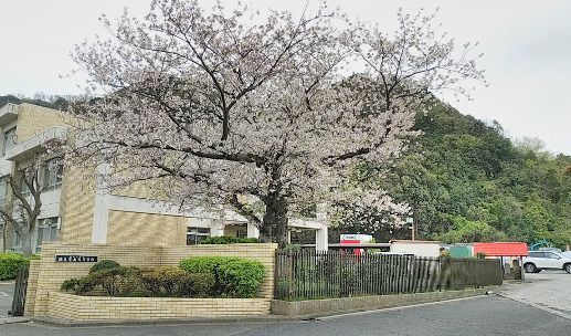 近くの神奈川県立横須賀南高校まで1,979m（徒歩25分）