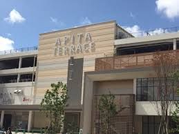 近くのアピタ 横浜綱島店まで900m（徒歩12分）