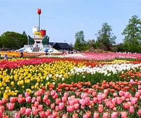 近くの砺波チューリップ公園まで1,558m（徒歩20分）
