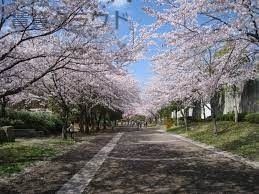 近くのおゆみ野はるのみち公園まで428m（徒歩6分）