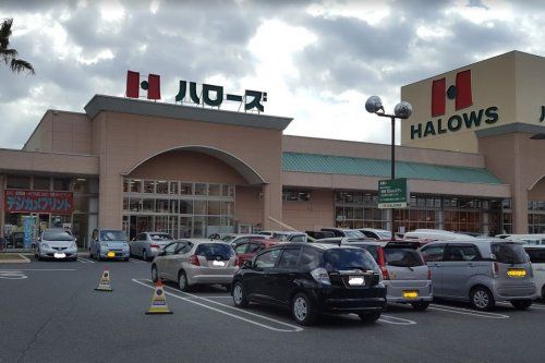 近くのハローズ津高店まで1,026m（徒歩13分）