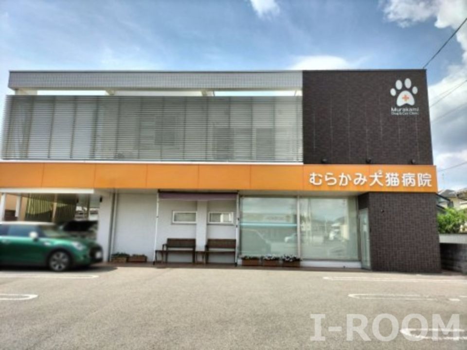 近くのむらかみ犬猫病院まで1,200m（徒歩15分）