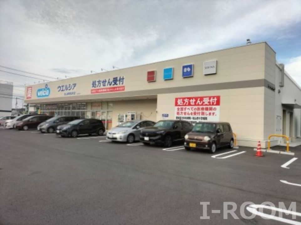 近くのウエルシア松山東垣生町店まで350m（徒歩5分）