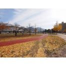 近くの公園まで3,662m（徒歩46分）