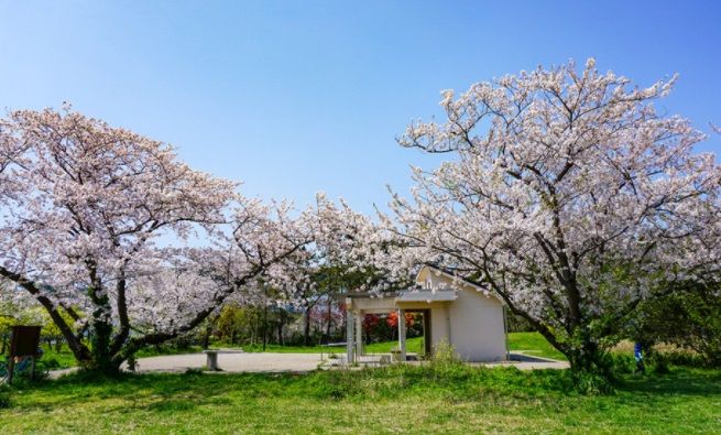 近くのくりはまみんなの公園まで990m(徒歩13分)