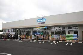 近くのウエルシア小田原鴨宮店まで412m(徒歩6分)