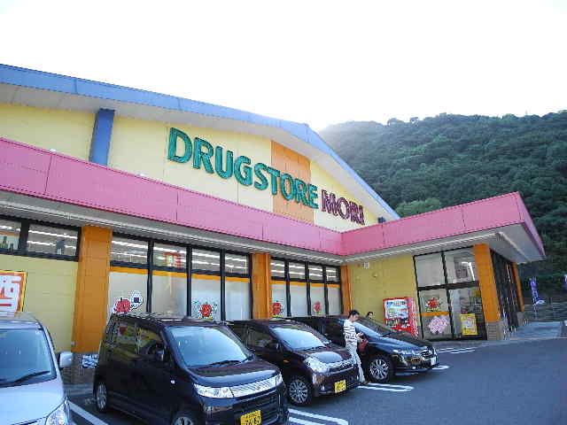 近くのDRUG STORE MORI(ドラッグストアモリ) 三川店まで1,161m(徒歩15分)