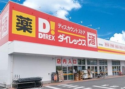 近くのダイレックス小松島店まで1,711m（徒歩22分）