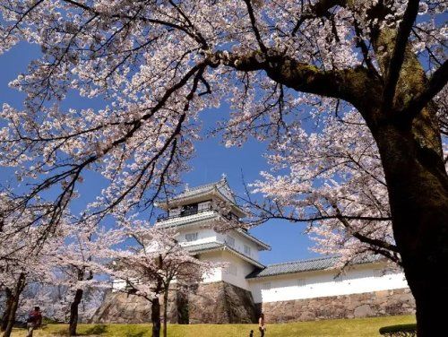 近くの悠久山公園まで1,065m（徒歩14分）