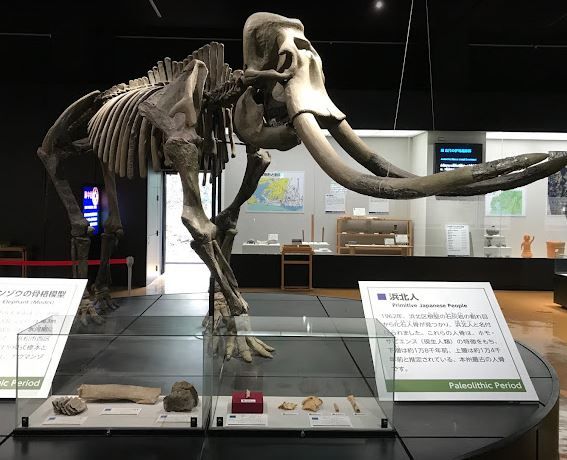 近くの浜松市博物館まで1,635m（徒歩21分）