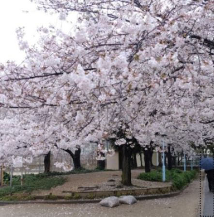 近くの公園まで680m（徒歩9分）