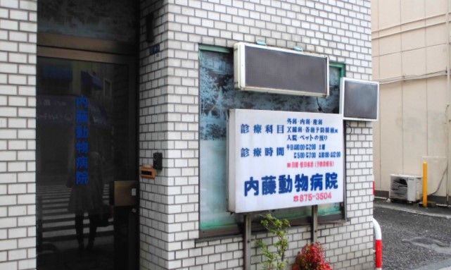 近くの内藤動物病院まで689m（徒歩9分）