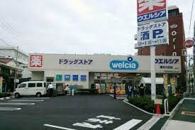 近くのウエルシア墨田八広店まで171m（徒歩3分）