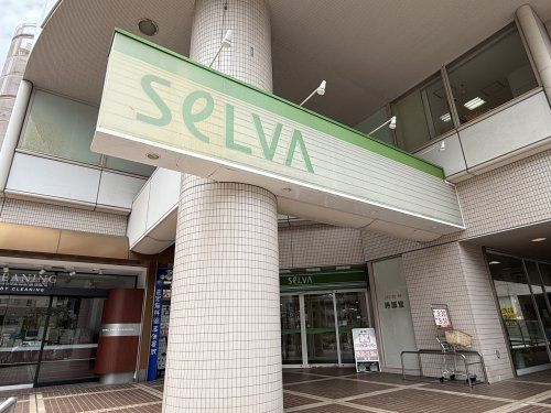 近くのセルバまで1,152m（徒歩15分）