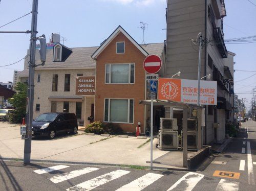 近くの京阪動物病院まで844m（徒歩11分）