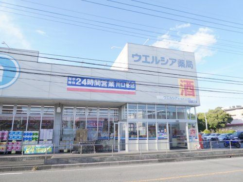近くのウエルシア薬局川口峯店まで824m（徒歩11分）