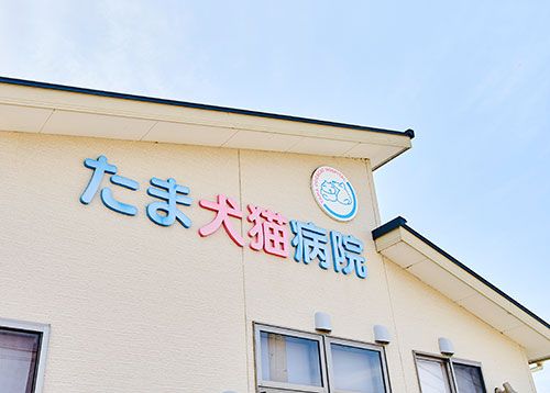 近くのたま犬猫病院まで491m（徒歩7分）