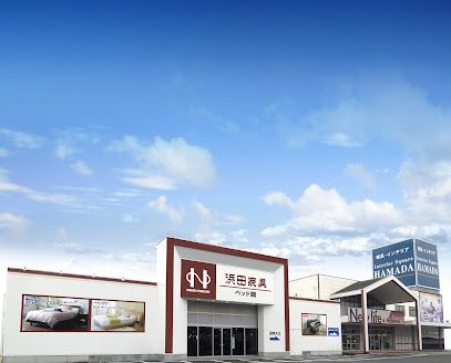 近くの浜田家具まで1,286m(徒歩17分)