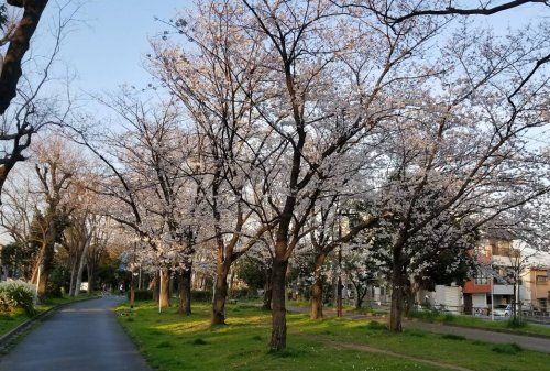 近くの新淀川公園まで318m(徒歩4分)