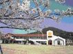 近くの陶こども園まで6,039m(徒歩76分)