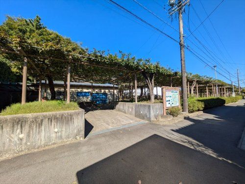 近くの曼陀羅寺公園まで714m（徒歩9分）