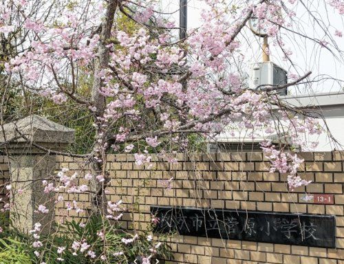 近くの枚方市立菅原小学校まで753m(徒歩10分)