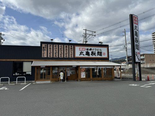 近くの丸亀製麺 橋本店まで487m（徒歩7分）