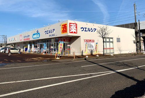 近くのウエルシア見附上新田店まで525m（徒歩7分）