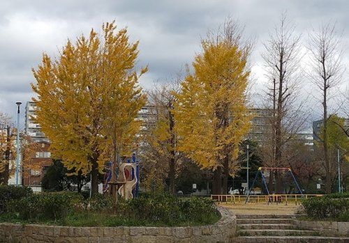 近くの太子橋中公園まで981m（徒歩13分）