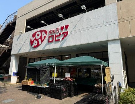 近くのスーパーバリュー ロピア松原店 共同出張所まで387m(徒歩5分)