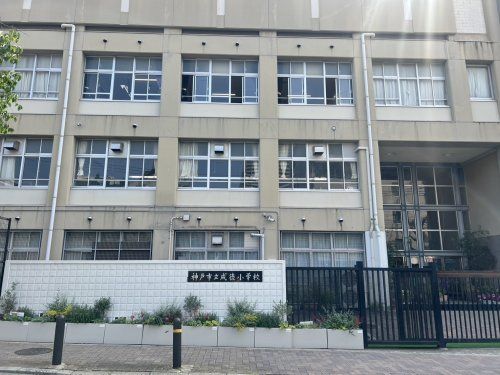 近くの神戸市立成徳小学校まで284m（徒歩4分）