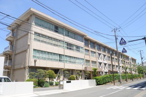 近くの横須賀市立常葉中学校まで966m（徒歩13分）
