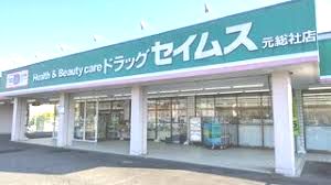 近くのドラッグセイムス 元総社店まで985m（徒歩13分）