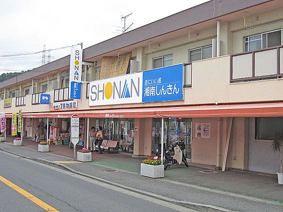 近くの湘南信用金庫北久里浜支店岩戸出張所まで788m(徒歩10分)
