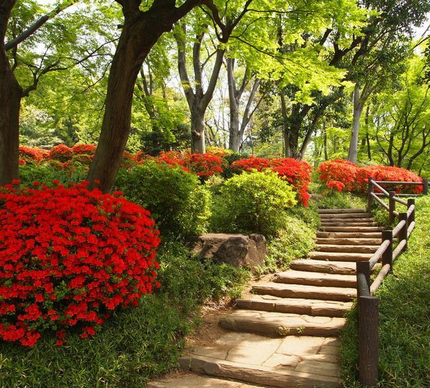 近くの有栖川公園まで1,472m(徒歩19分)