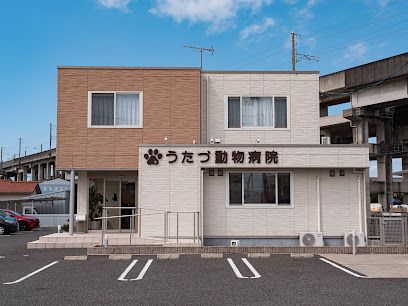 近くのうたづ動物病院まで444m（徒歩6分）