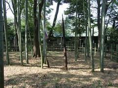 近くのすずめのお宿緑地公園まで306m（徒歩4分）