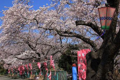 近くの南郷公園まで335m（徒歩5分）