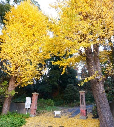 近くの千葉大学 松戸キャンパスまで870m（徒歩11分）