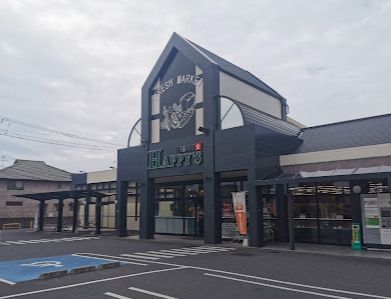 近くの天満屋ハピーズ老松店まで780m（徒歩10分）