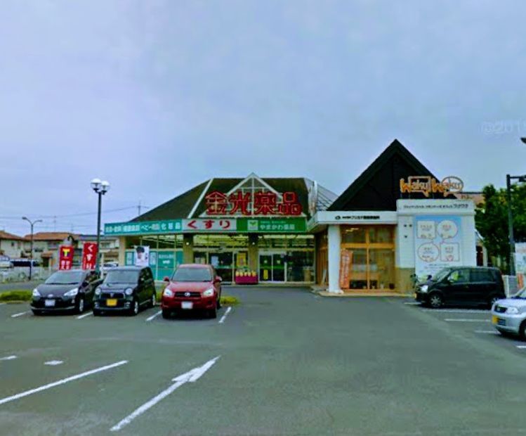 近くの金光薬品岡山庭瀬店まで484m（徒歩7分）