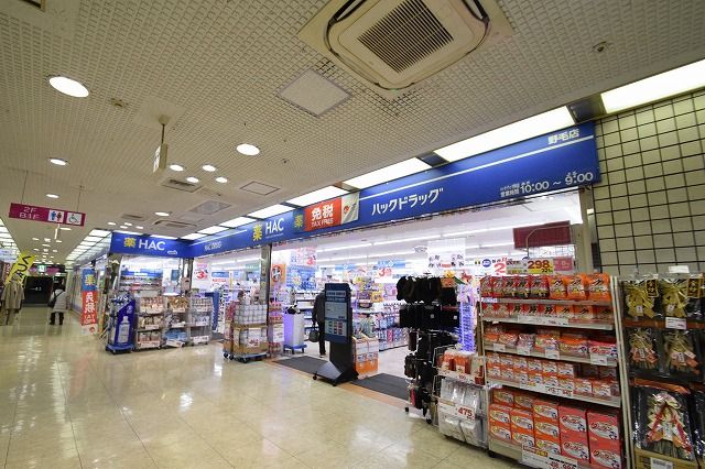 近くのハックドラッグ野毛店まで305m（徒歩4分）