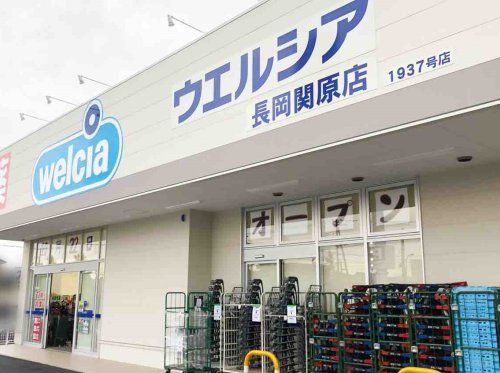 近くのウエルシア長岡関原店まで1,124m(徒歩15分)